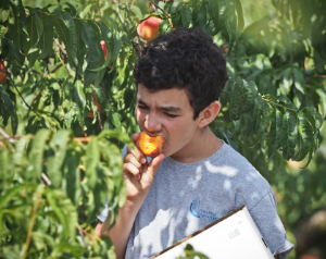 Things to Do in May in Fredericksburg, TX